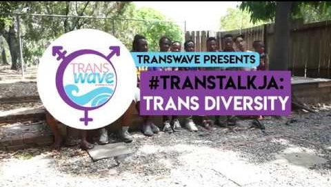 TransTalkJa: Trans Diversity